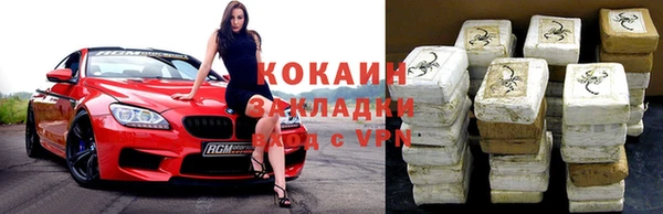 стафф Алзамай