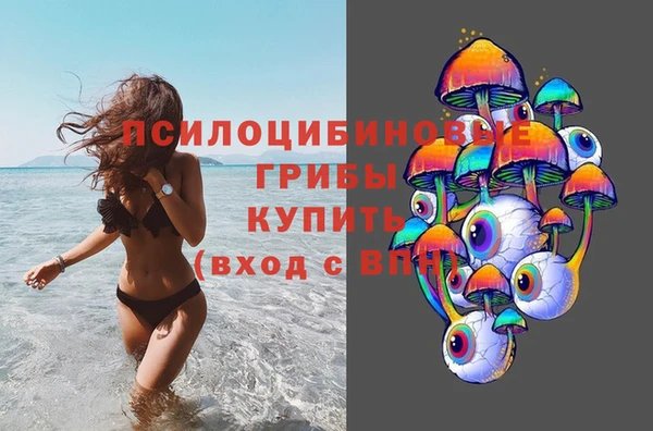 apvp Алексин