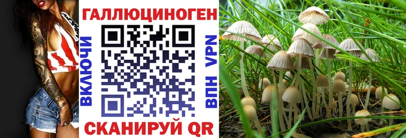 Галлюциногенные грибы Psilocybine cubensis  omg сайт  Нолинск  хочу наркоту 