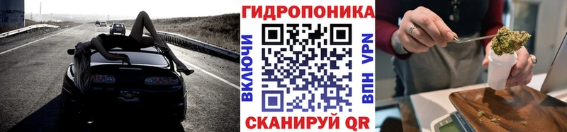 МЕГА ТОР  Нолинск  Шишки марихуана планчик 